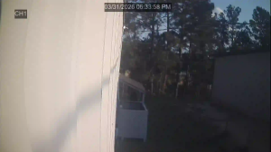 Caméra IP - United States of America