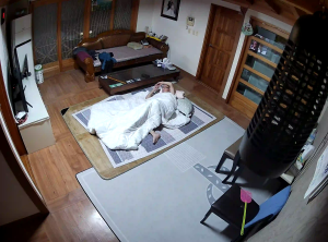 Caméra IP - Südkorea