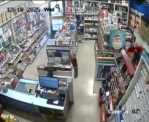 Caméra IP - Croacia