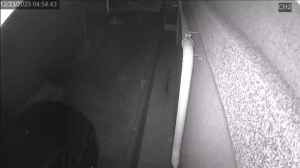 Caméra IP - Corea del Sud