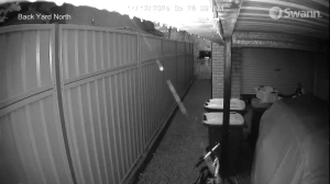 Caméra IP - Australia