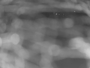 Caméra IP - Australia