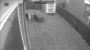 Caméra IP - United States of America