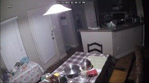 Caméra IP - United States of America