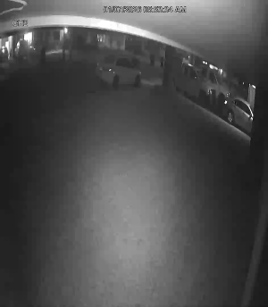 Caméra IP - United States of America