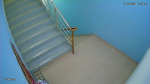 Caméra IP - Malaysia