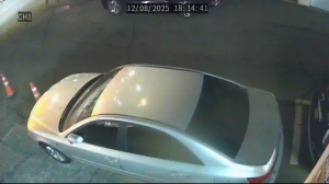 Caméra IP - Südkorea