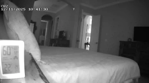 Caméra IP - États-Unis d'Amérique