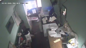 Caméra IP - États-Unis d'Amérique