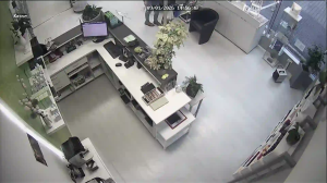 Caméra IP - Germany