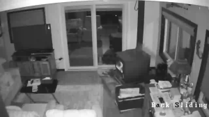 Caméra IP - United States of America