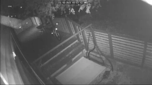 Caméra IP - États-Unis d'Amérique