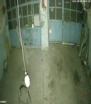 Caméra IP - Islamic Republic of Iran