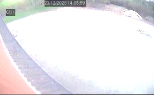 Caméra IP - Denmark