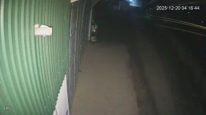 Caméra IP - Vietnam