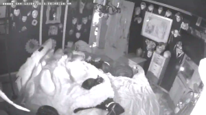 Caméra IP - United States of America