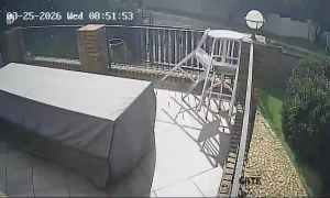 Caméra IP - South Africa