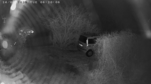 Caméra IP - Netherlands