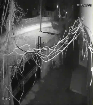 Caméra IP - Türkiye