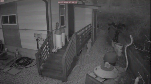 Caméra IP - South Korea