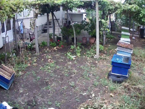 Caméra IP - Bulgaria