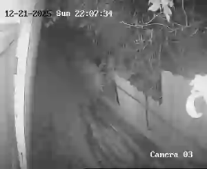 Caméra IP - Griechenland