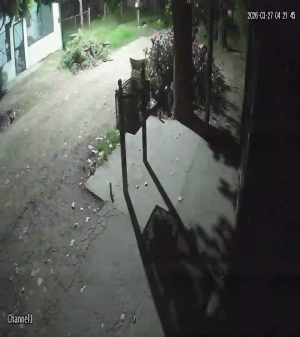 Caméra IP - Argentine