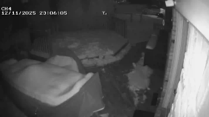 Caméra IP - États-Unis d'Amérique