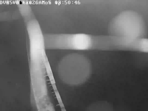 Caméra IP - Vue en direct