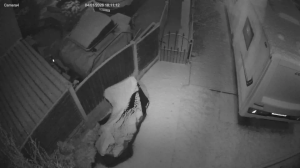 Caméra IP - Royaume-Uni