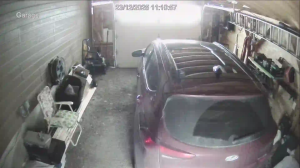 Caméra IP - Estados Unidos