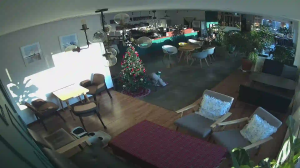 Caméra IP - South Korea