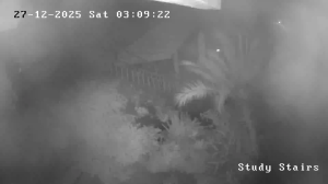 Caméra IP - Sudafrica