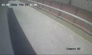 Caméra IP - South Africa