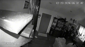 Caméra IP - United States of America