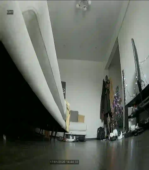 Caméra IP - Russian Federation