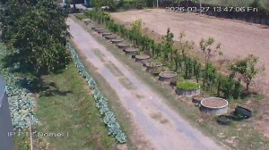 Caméra IP - Thailand