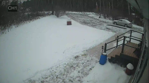 Caméra IP - United States of America