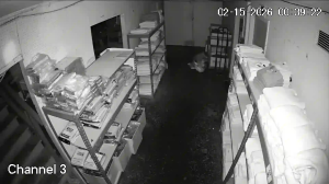 Caméra IP - United States of America