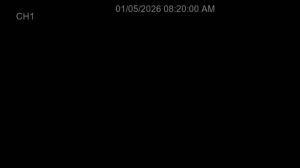 Caméra IP - South Korea