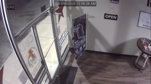 Caméra IP - United States of America