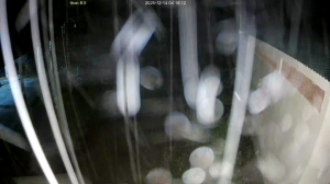 Caméra IP - Vietnam