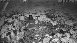 Caméra IP - Hungary