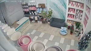 Caméra IP - Russische Föderation