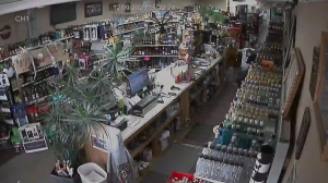 Caméra IP - États-Unis d'Amérique