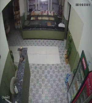 Caméra IP - Türkei