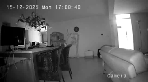 Caméra IP - Netherlands