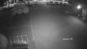 Caméra IP - Australien