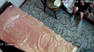 Caméra IP - Russian Federation