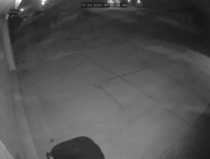 Caméra IP - États-Unis d'Amérique